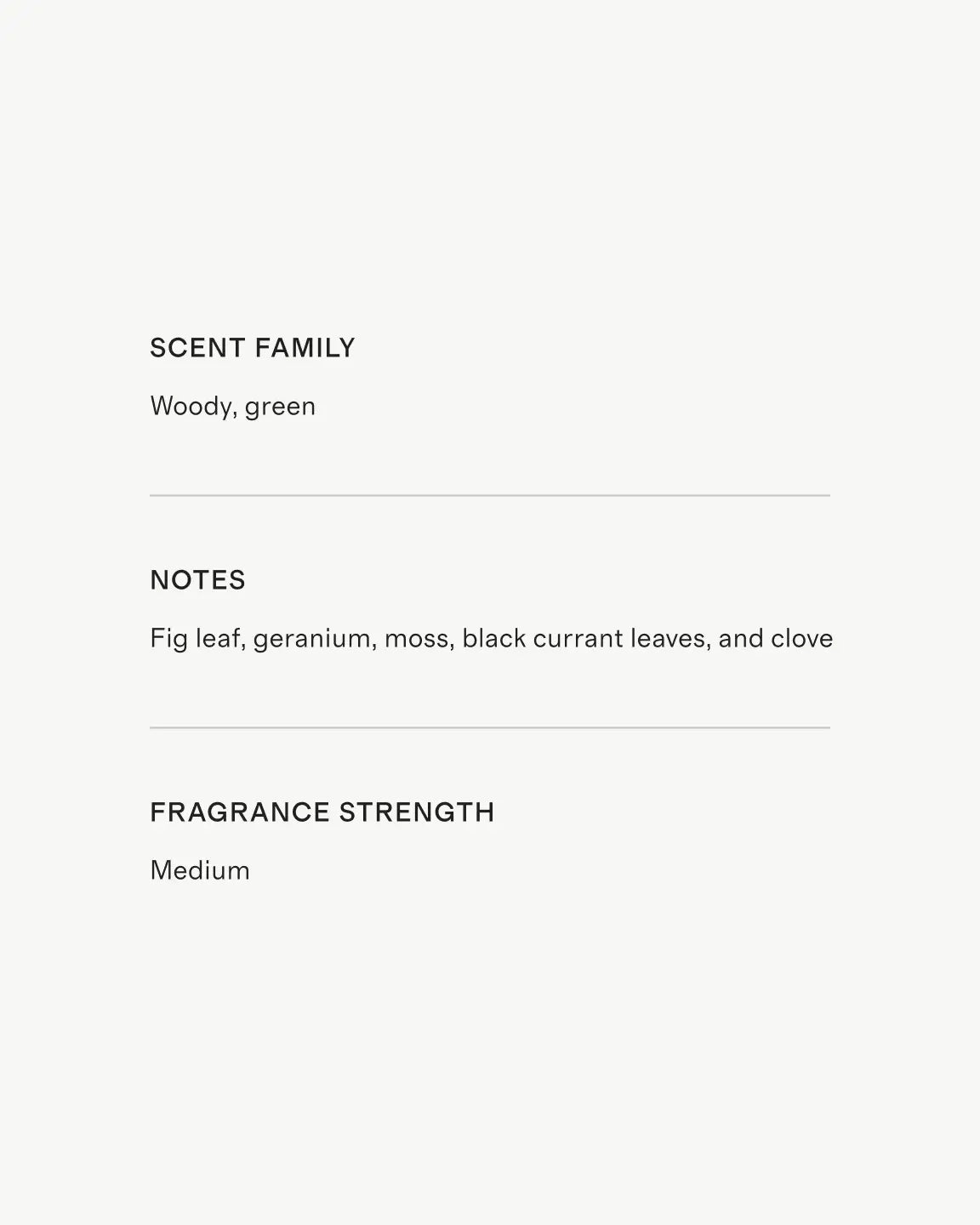 Saint Germain Candle - US 1597