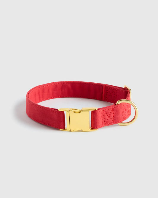 100% Cotton-Wrapped Nylon Dog Collar - US 8910