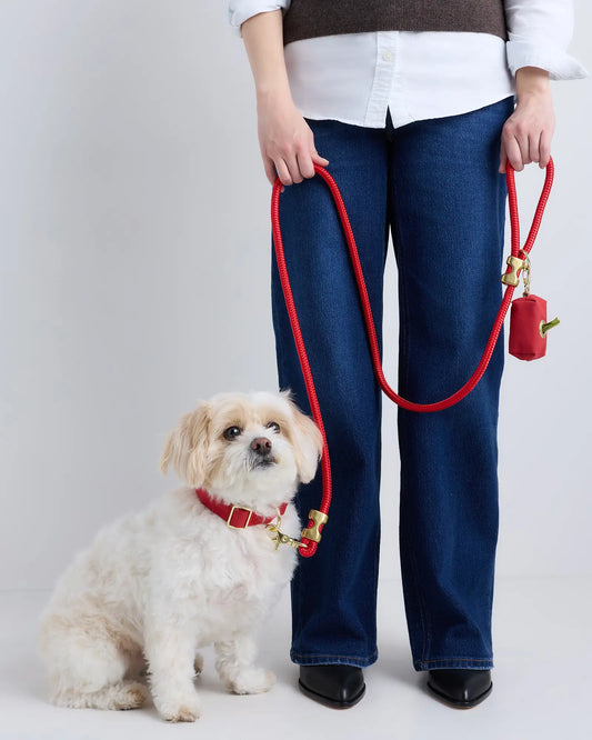100% Cotton-Wrapped Nylon Dog Collar Walk Kit - US 1322