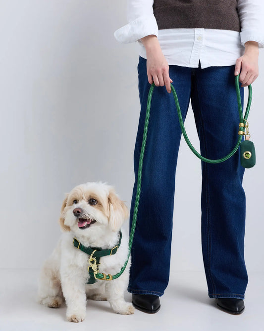 100% Cotton-Wrapped Nylon Dog Harness Walk Kit - US 9935