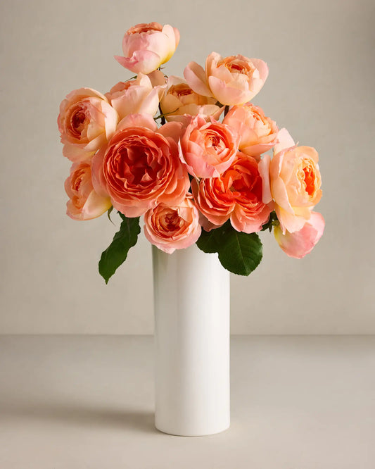 Soleil Garden Roses (12 stems) - US 8962