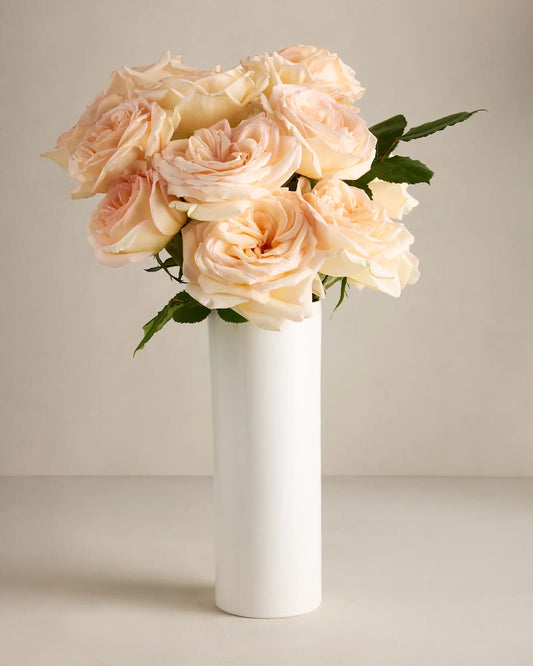 Afterglow Garden Roses (12 stems) - US 1943