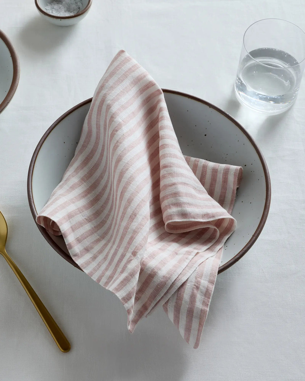European Linen Wide-Hem Stripe Napkins, Set of 12 - US 2251