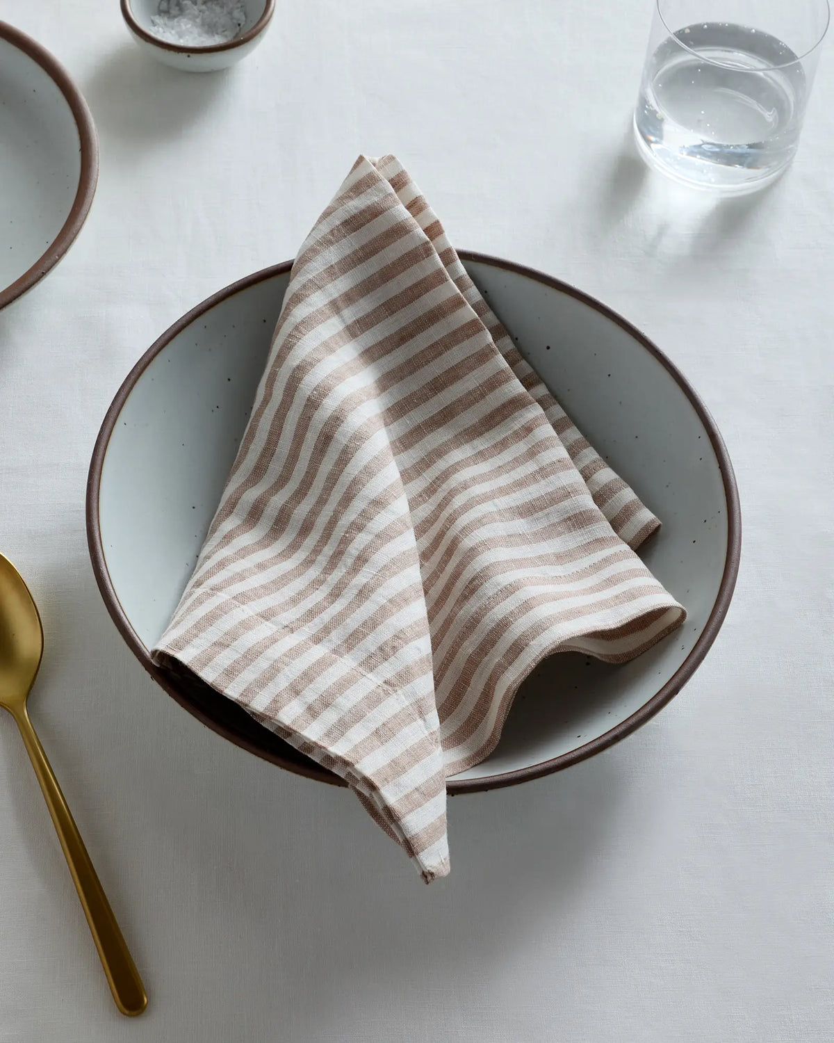 European Linen Wide-Hem Stripe Napkins (Set of 4) - US 4066