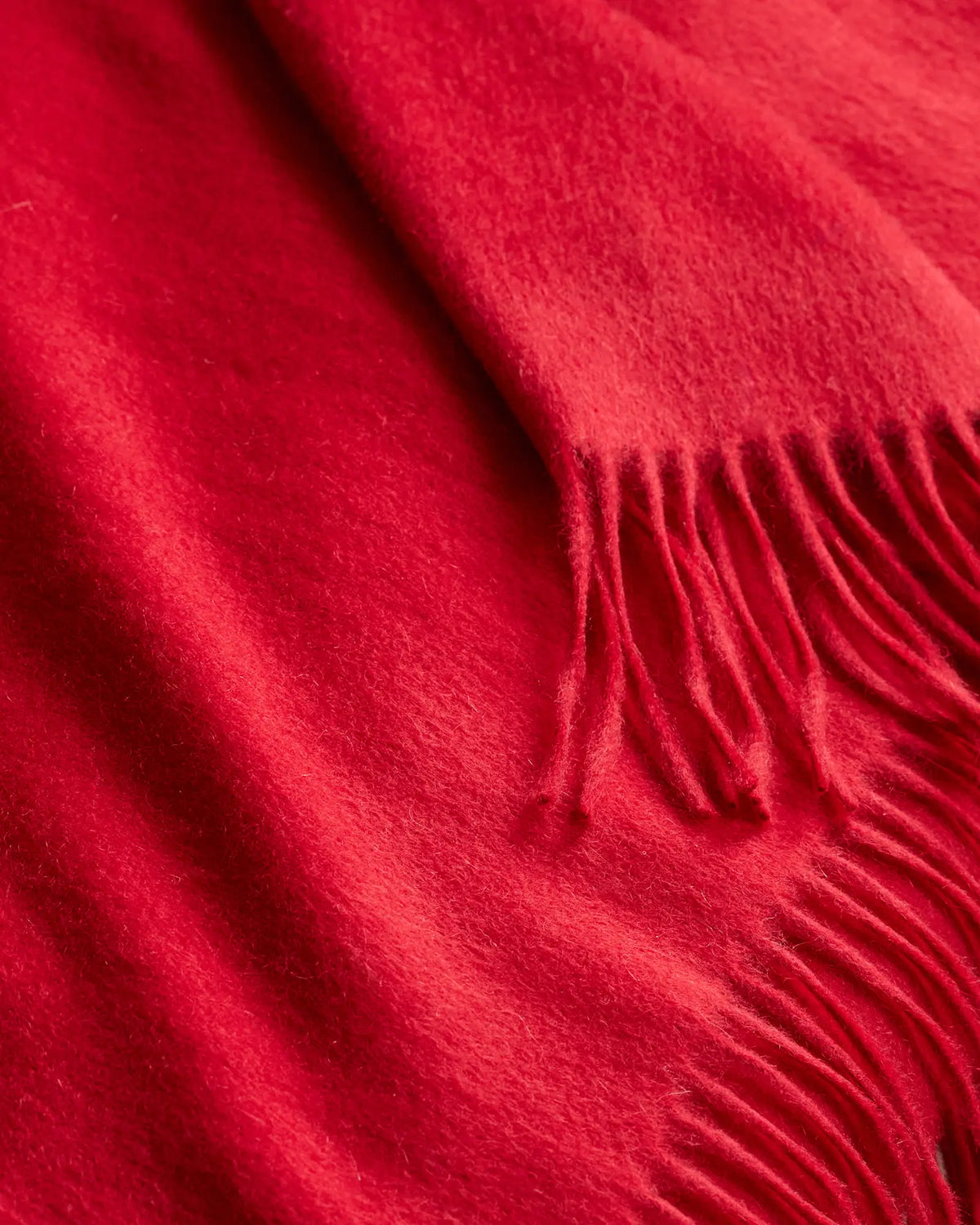 Mongolian Cashmere Throw - US 9269