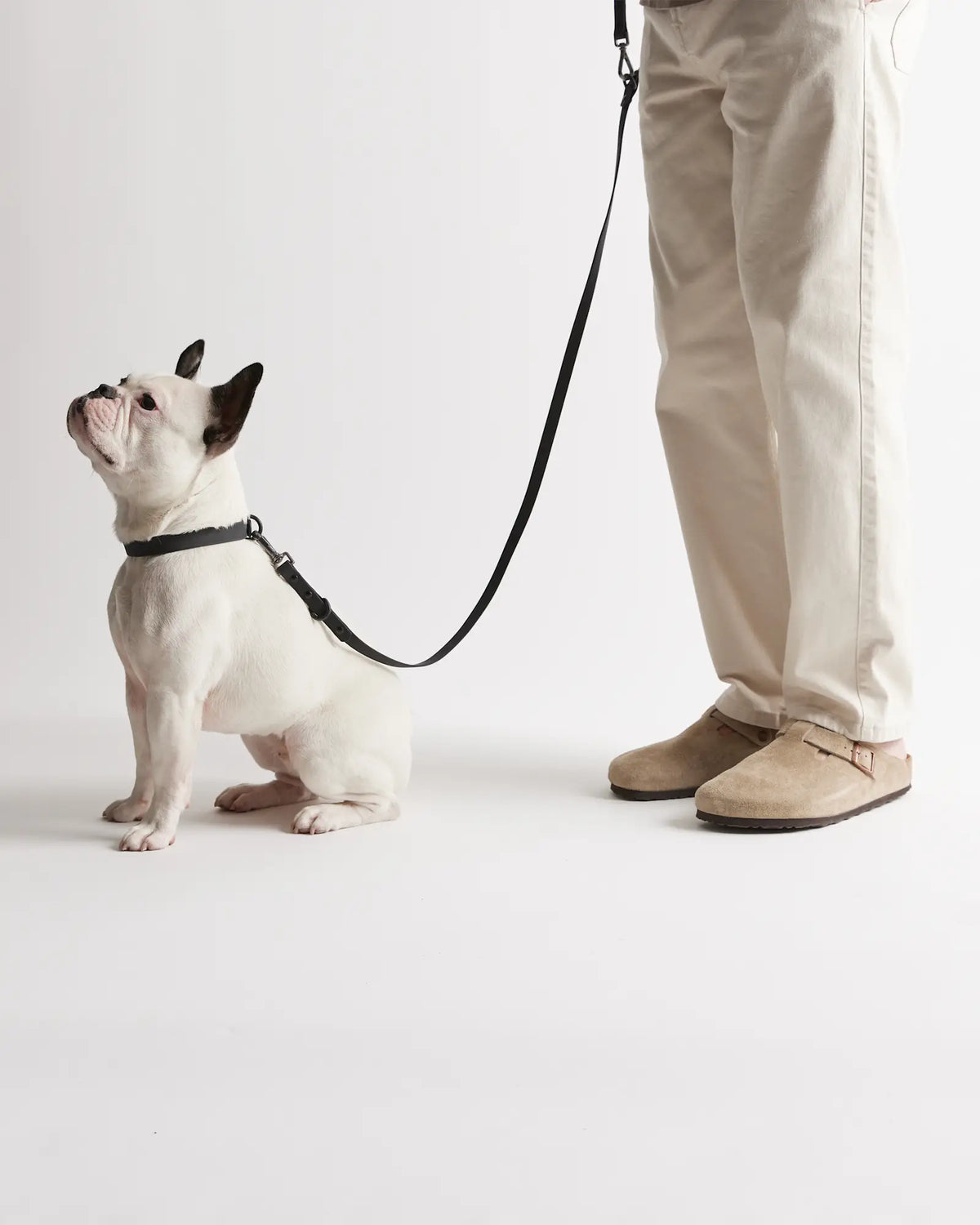 Flex-Poly Dog Leash - US 9615