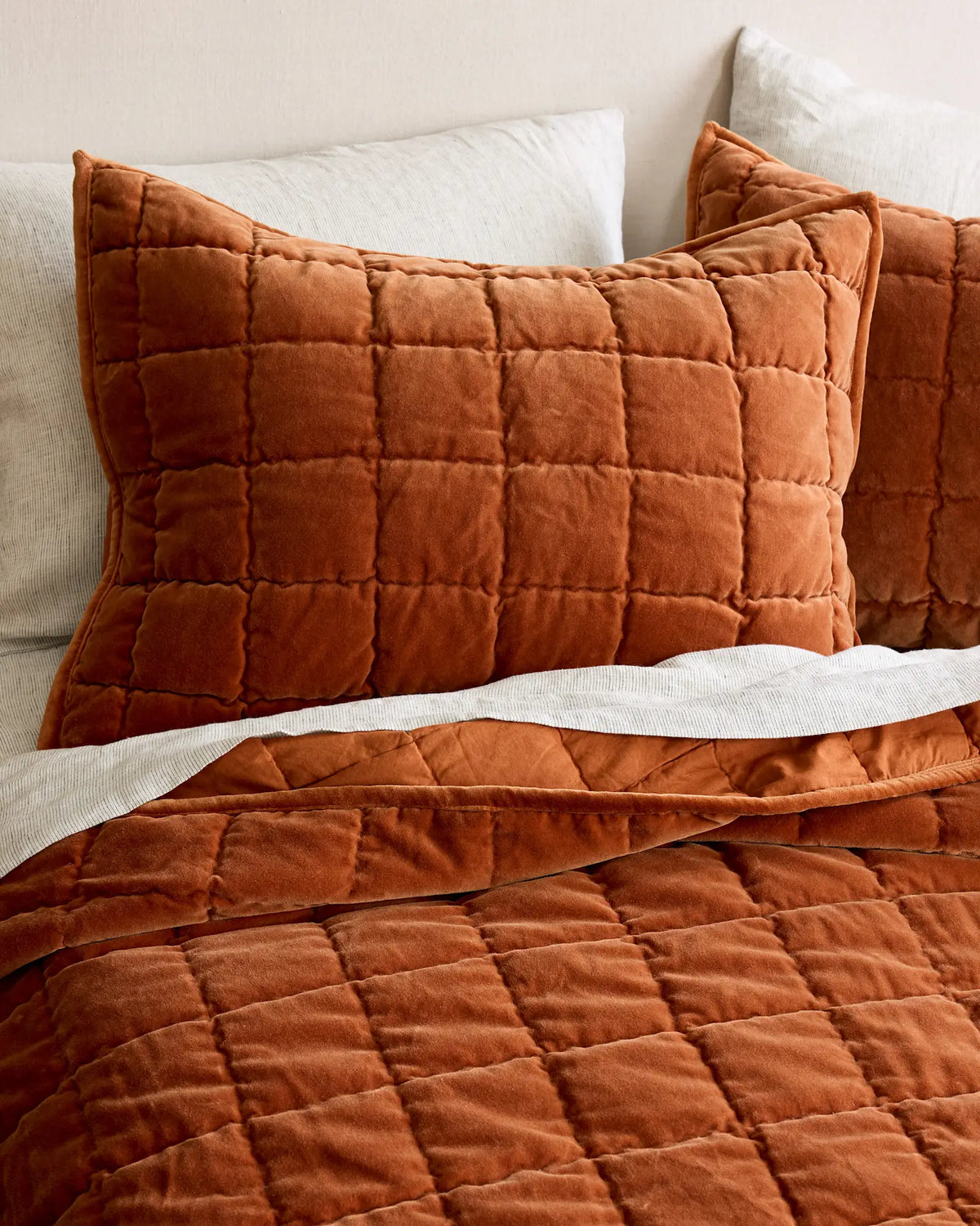 Cotton Velvet Box Quilted Sham Set - US 1123