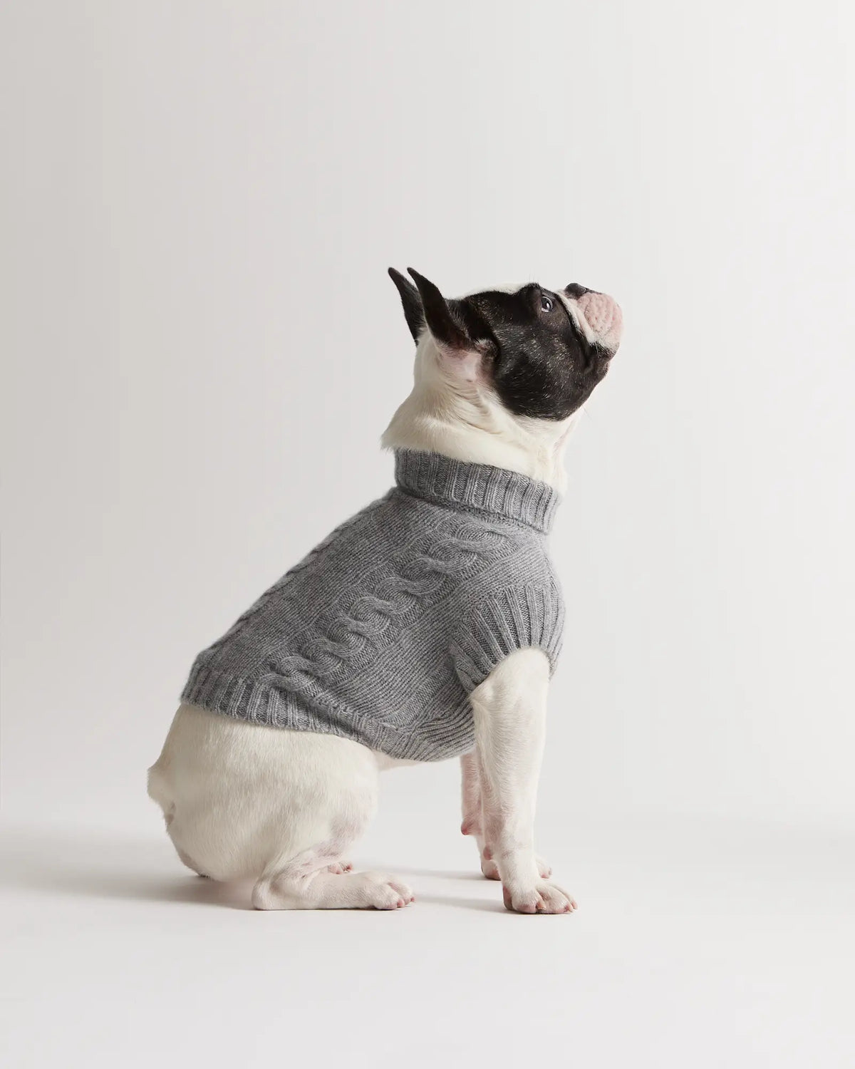 Mongolian Cashmere Cable Knit Dog Sweater - US 5576