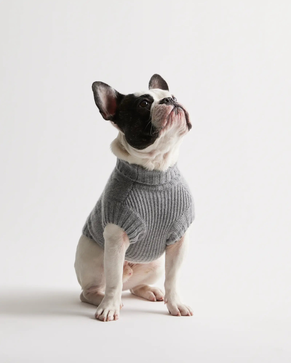 Mongolian Cashmere Cable Knit Dog Sweater - US 5576