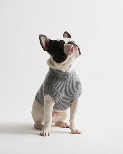 Mongolian Cashmere Cable Knit Dog Sweater - US 5576