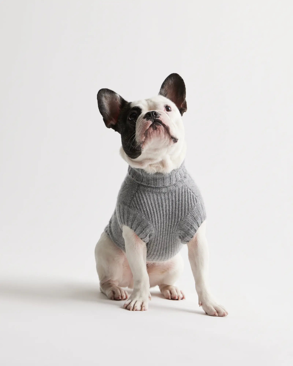 Mongolian Cashmere Cable Knit Dog Sweater - US 5576