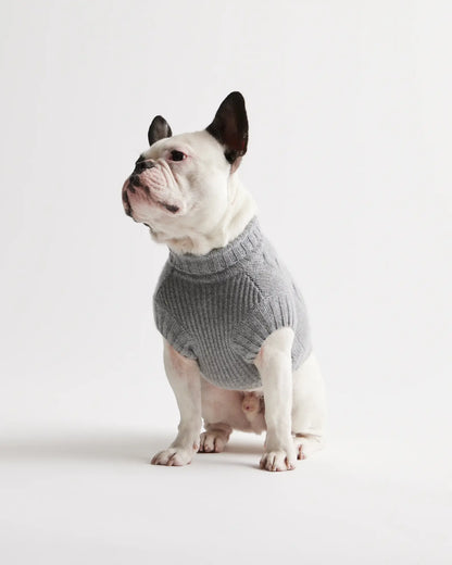 Mongolian Cashmere Cable Knit Dog Sweater - US 5576
