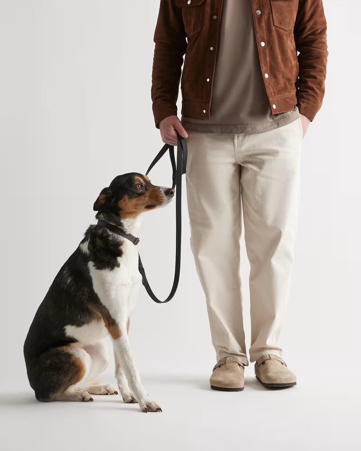 Flex-Poly Dog Leash - US 9615