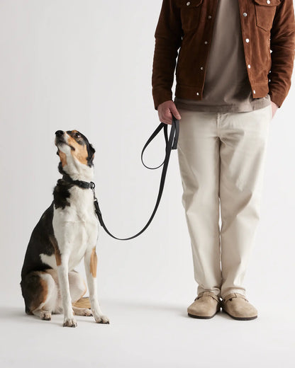 Flex-Poly Dog Leash - US 9615