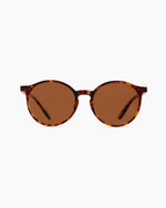 Brixton Polarized Acetate Sunglasses - US 7966
