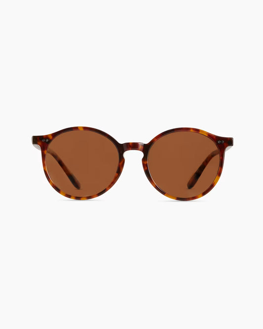 Brixton Polarized Acetate Sunglasses - US 7966