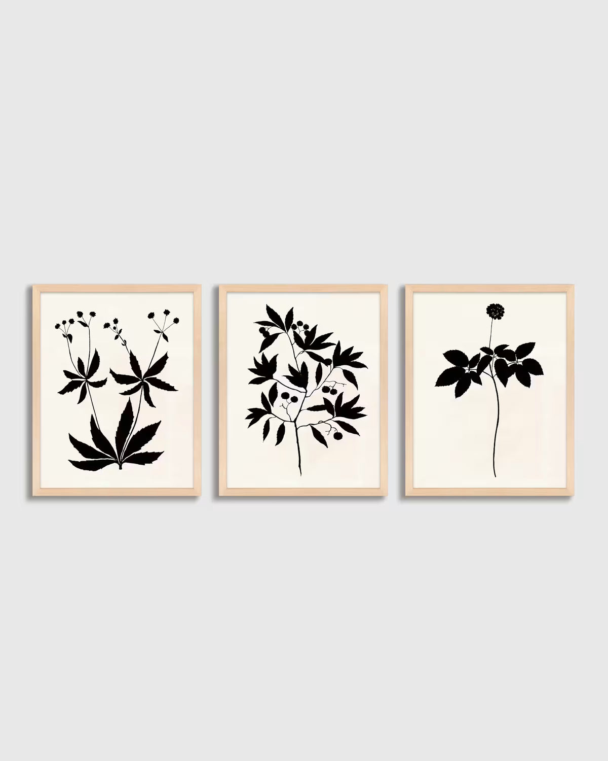 Botanical by Philippa Katz (Set of 3) - US 6003