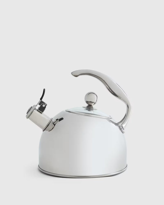 Stainless Steel Tea Kettle - US 3076