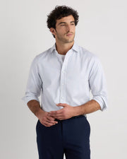 Grey Stripe