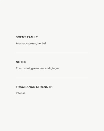 Marrakech Mint 3-Wick Luxury Candle - US 1190