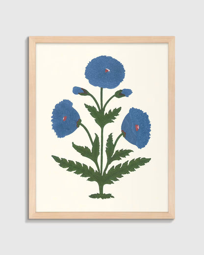 Blue Mughal Poppy Antique Print - US 8739