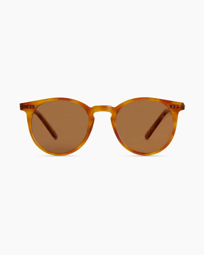 Noah Polarized Acetate Sunglasses - US 7160
