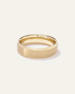 Tungsten Carbide Brushed Beveled Edge Band - US 9440