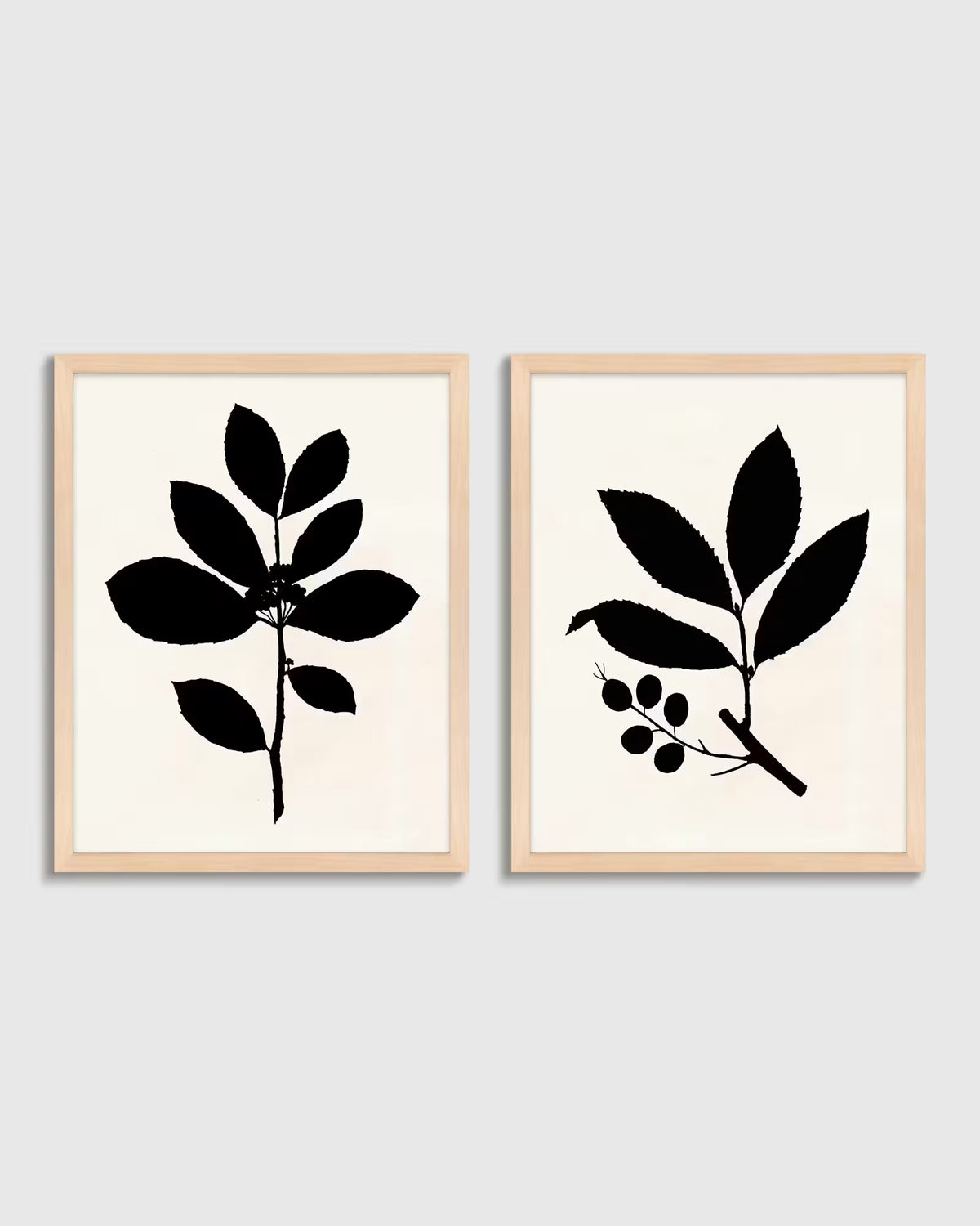 Tea Tree, Cherry Laurel by Philippa Katz (Set of 2) - US 0631