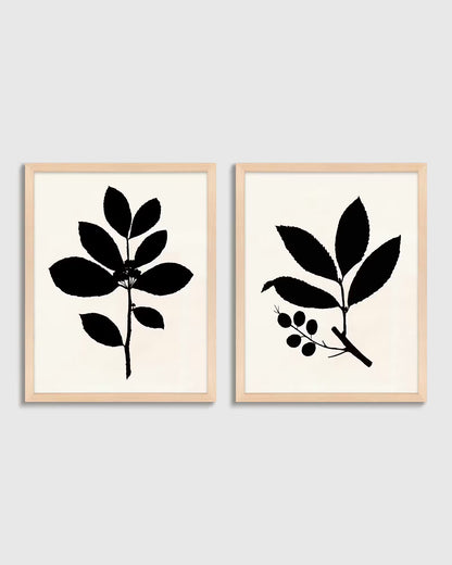 Tea Tree, Cherry Laurel by Philippa Katz (Set of 2) - US 0631