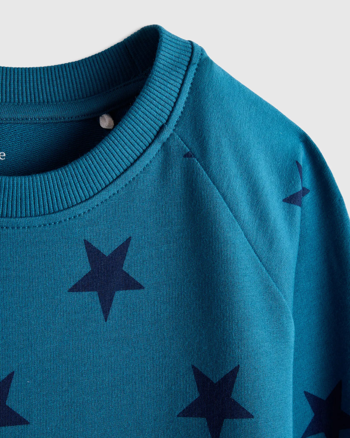 Organic Cotton French Terry Crew Neck Sweatshirt - US 3131