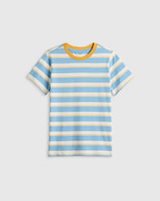 Large Multi Blue Stripe