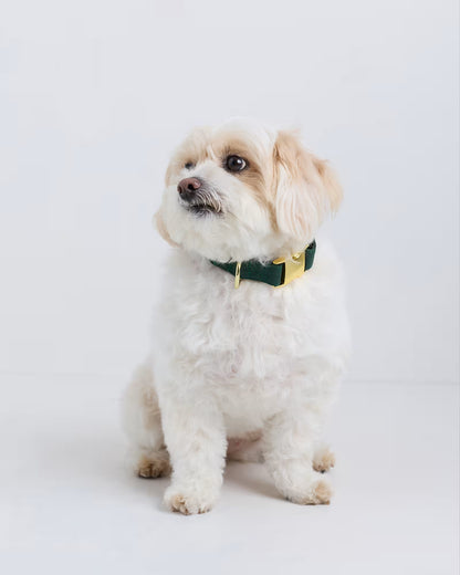 100% Cotton-Wrapped Nylon Dog Collar - US 8324