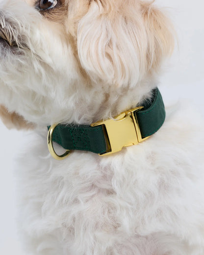 100% Cotton-Wrapped Nylon Dog Collar - US 8324