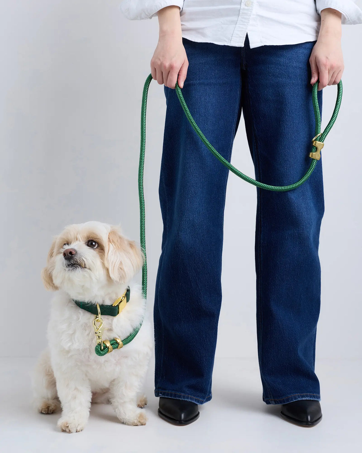 100% Cotton-Wrapped Nylon Dog Collar - US 8324
