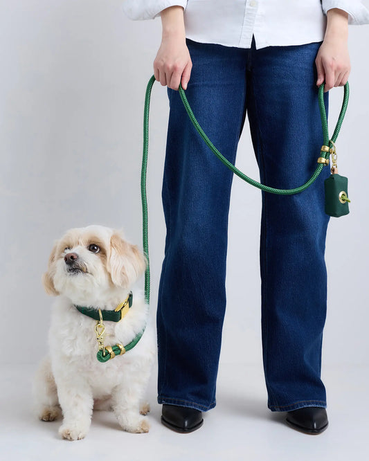 100% Cotton-Wrapped Nylon Dog Collar Walk Kit - US 4932