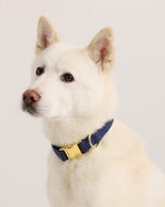 100% Cotton-Wrapped Nylon Dog Collar - US 0065