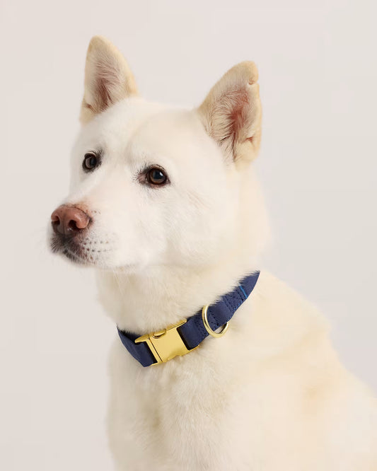 100% Cotton-Wrapped Nylon Dog Collar - US 0065