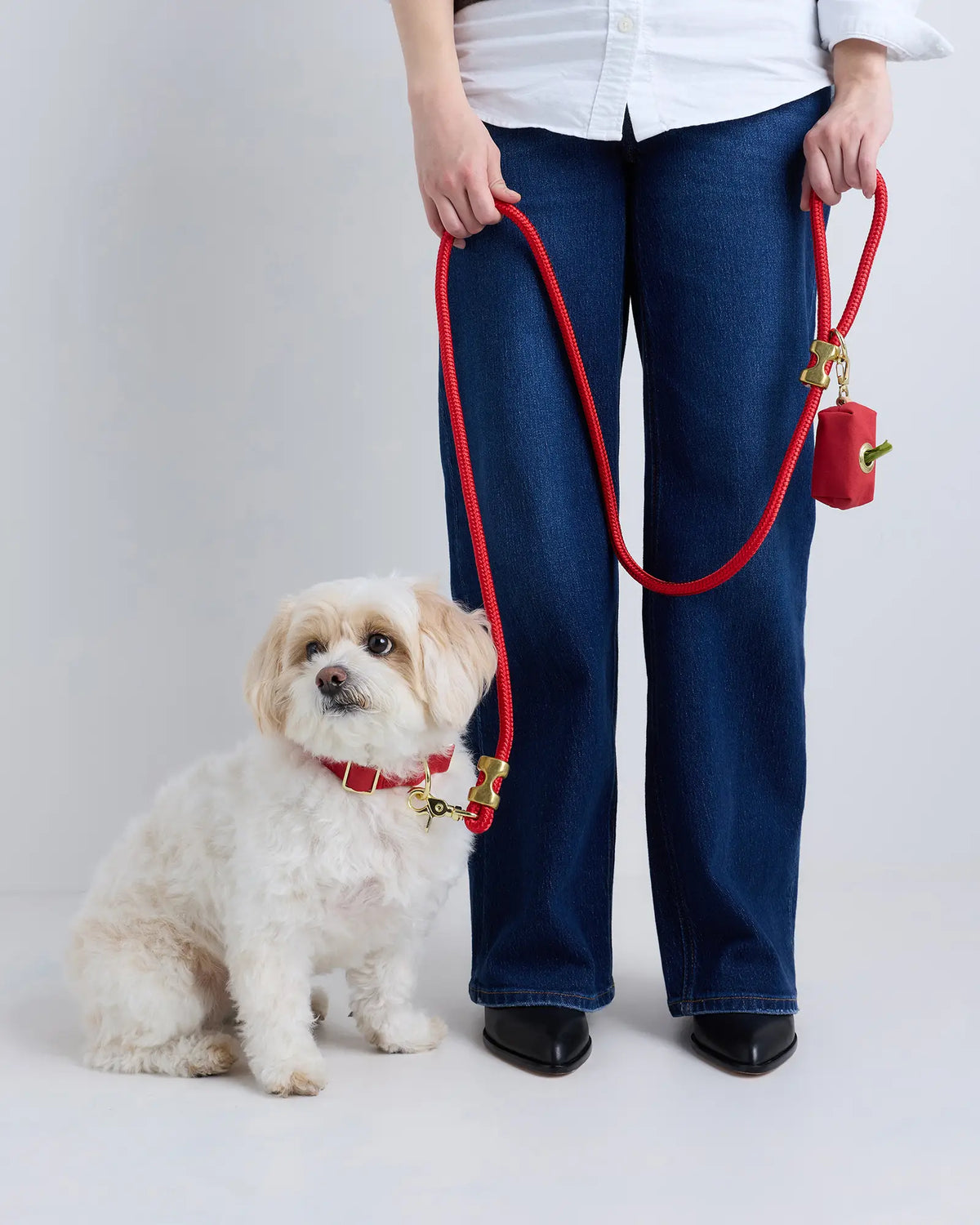 100% Cotton-Wrapped Nylon Dog Collar - US 8910