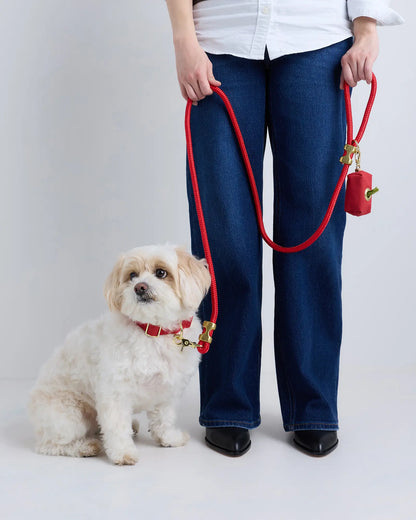 100% Cotton-Wrapped Nylon Dog Collar - US 8910