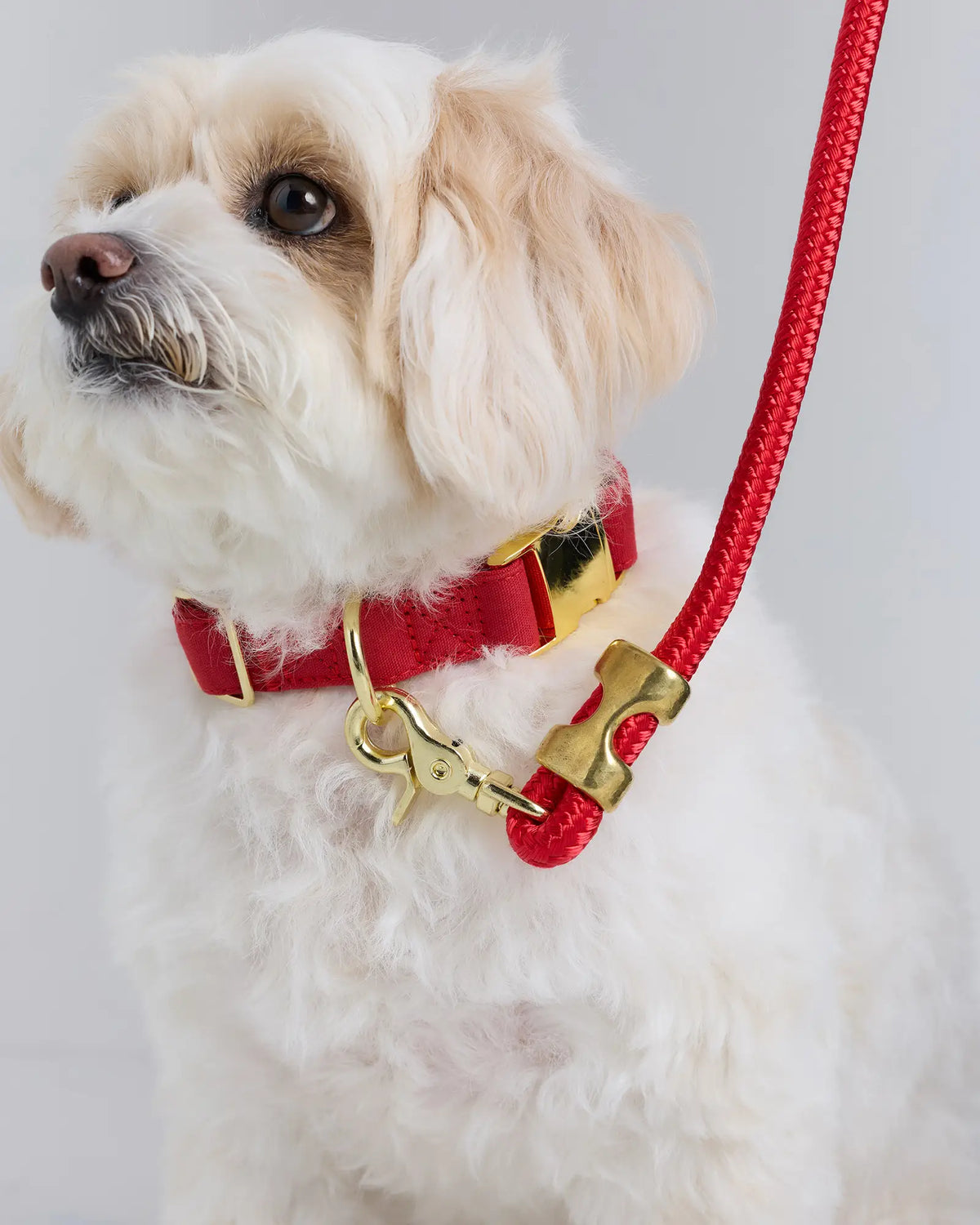Double-Braided Nylon Rope Dog Leash - US 5104
