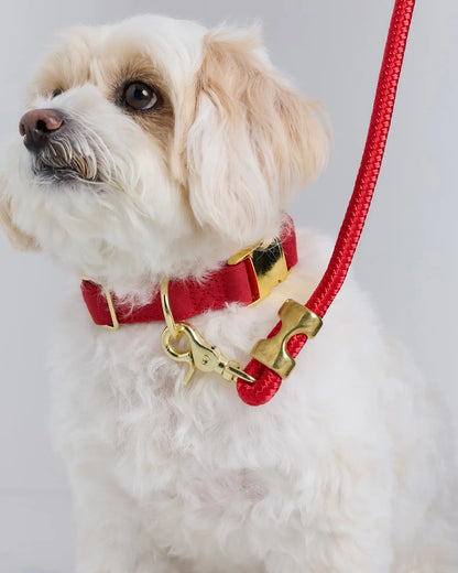 Double-Braided Nylon Rope Dog Leash - US 5104