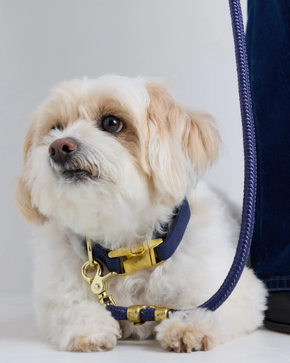 Double-Braided Nylon Rope Dog Leash - US 2372