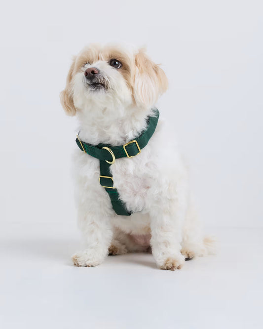 100% Cotton-Wrapped Nylon Dog Harness - US 0056