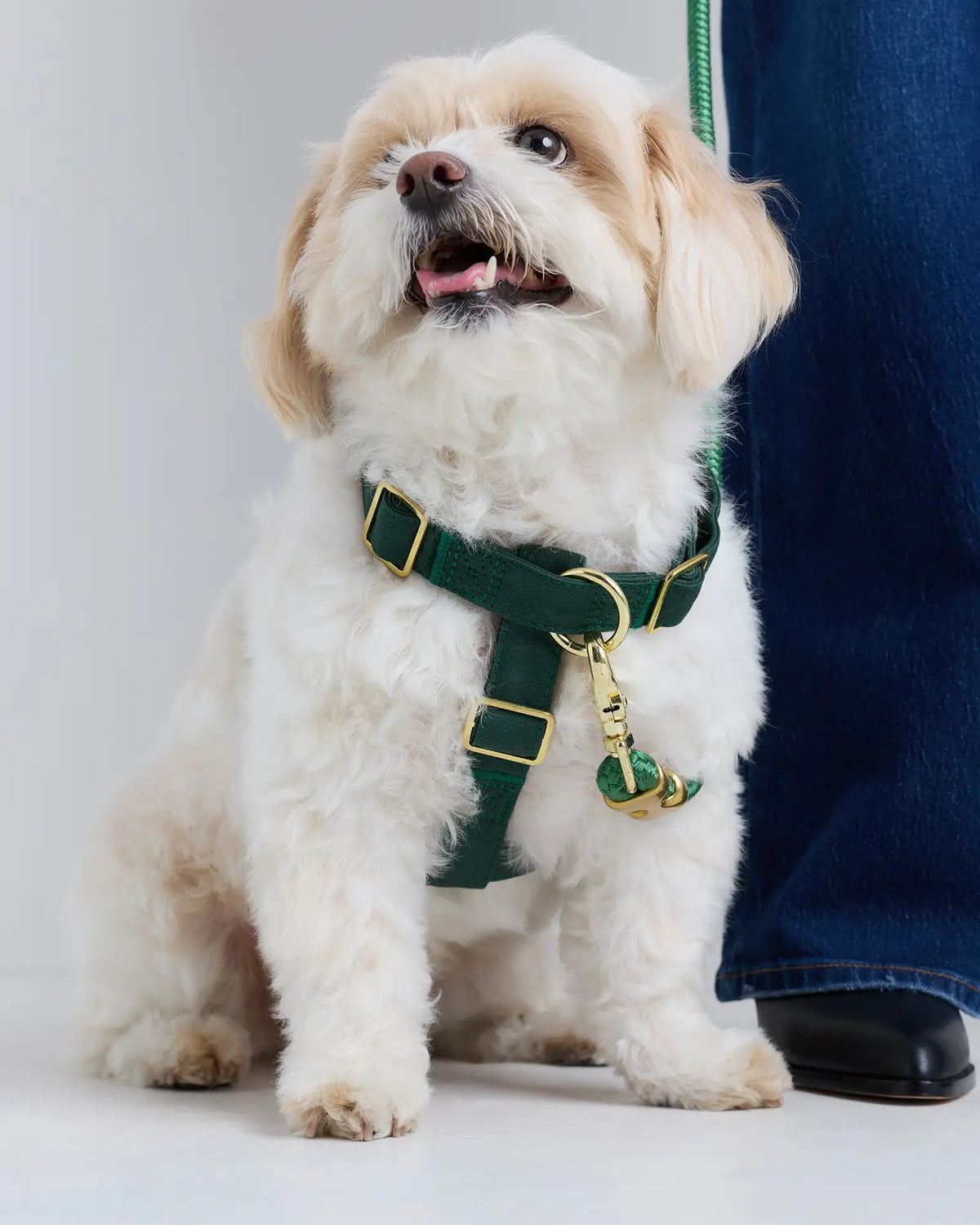 100% Cotton-Wrapped Nylon Dog Harness Walk Kit - US 9935