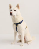 100% Cotton-Wrapped Nylon Dog Harness - US 9560