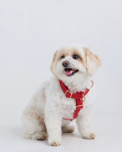 100% Cotton-Wrapped Nylon Dog Harness - US 7376
