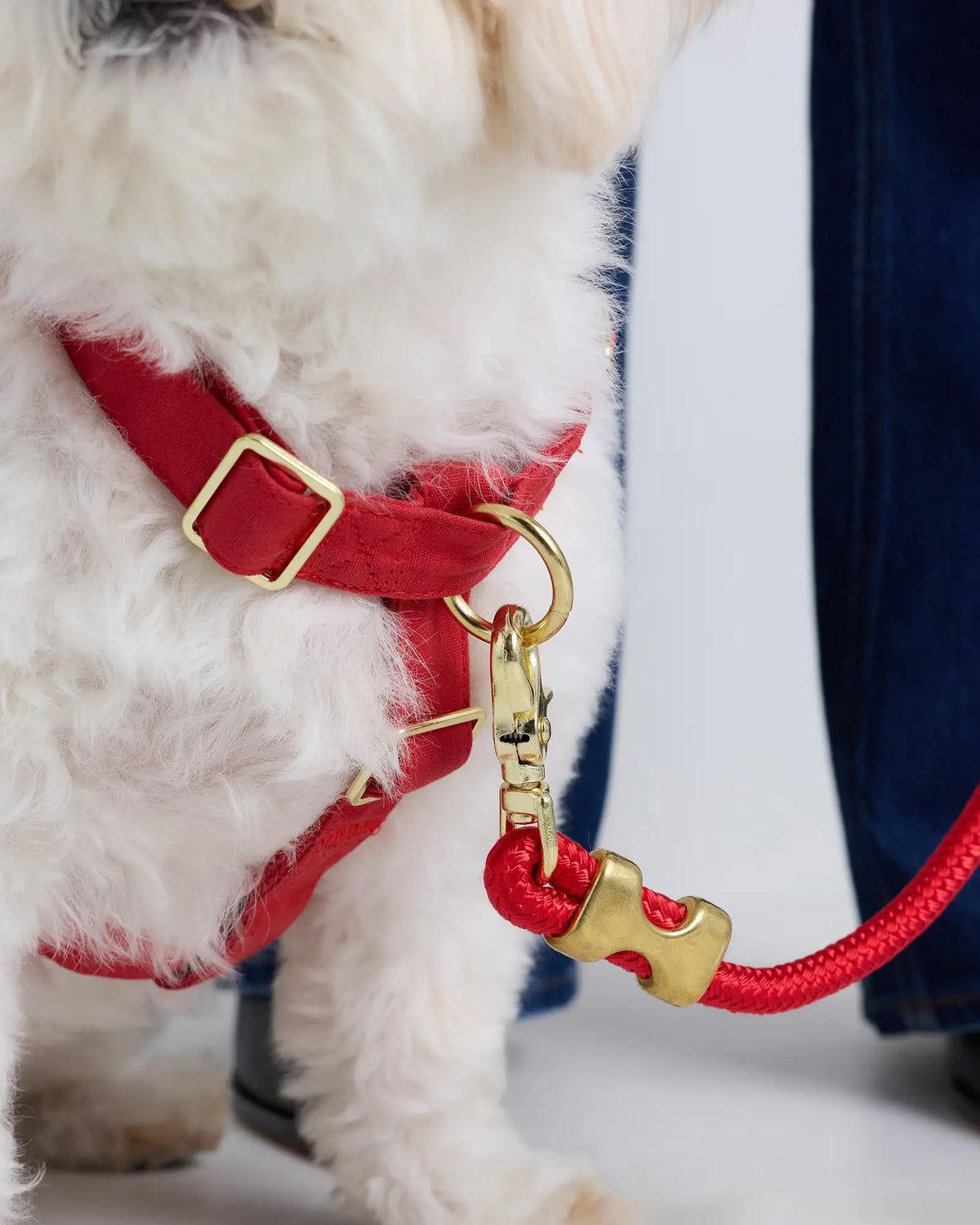 100% Cotton-Wrapped Nylon Dog Harness - US 7376