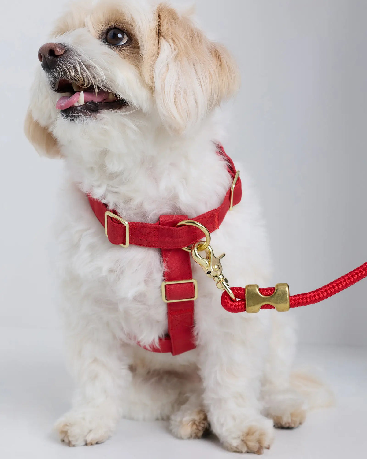 100% Cotton-Wrapped Nylon Dog Harness - US 7376