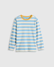 Large Multi Blue Stripe