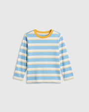 Large Multi Blue Stripe